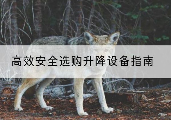 嘉黎升降货梯厂家推荐-*安全选购升降设备指南