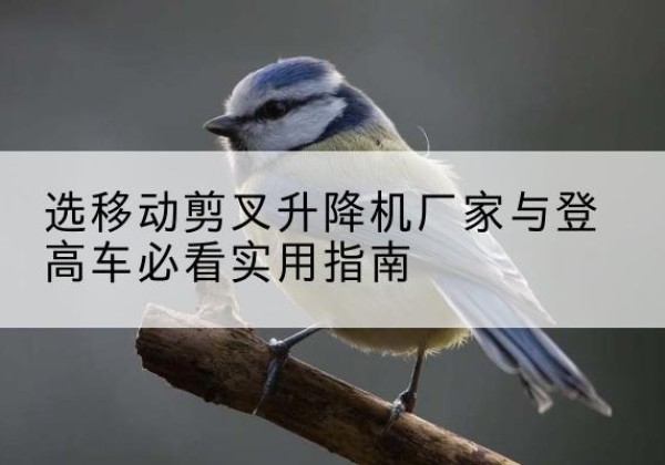 嘉黎电动升降机厂家-选移动剪叉升降机厂家与登高车必看实用指南