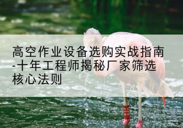 嘉黎剪叉式升降机厂家-高空作业设备选购实战指南-十年工程师揭秘厂家筛选核心法则